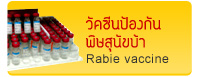 ѤչͧѹعѢ (Rabies Vaccine)