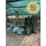 �ѧ���120�Ե�, �ѧ��о��ʵԡ120�Ե�, �ѧ��о��ʵԡ, �ѧ����¡������120�Ե�, �ѧ����Ⱥ��, �ѧ��С��, �ѧ��н�1��ͧ120�Ե�, �ѧ��������120�Ե�, ����觶ѧ��о��ʵԡ, �ѧ��н����º120�Ե�