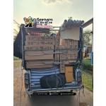 ��信�о�Ժled 信�о�Ժ��Ҩ� 信�о�Ժ��ѧ��ҹ�ʧ�ҷԵ�� 信�о�Ժ�������� 俨�Ҩ��������� ��信�о�Ժ��Ҩ� ��俨�Ҩ�led