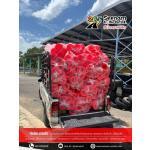 ��ҡ�鹨�Ҩ�, ��Ҩ�Ҩ�, �����ࢵ, �����ѡ��͹, ��Ҩ�Ҩ�����ء, ��ҡ��ࢵ��Ҩ�, �������ء, �������ء��Ҩ�, ������Ź
