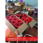 ��ҡ�鹨�Ҩ�, ��Ҩ�Ҩ�, �����ࢵ, �����ѡ��͹, ��Ҩ�Ҩ�����ء, ��ҡ��ࢵ��Ҩ�, �������ء, �������ء��Ҩ�, ������Ź